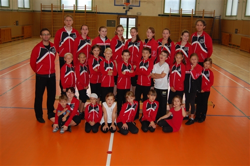 Obrázek v galerii